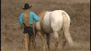 SOLD  Amigo 1 2002 palomino snowcap appaloosa gelding [upl. by Uticas596]