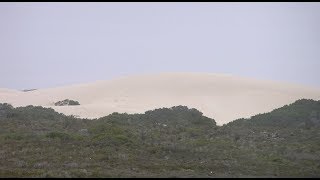 De Hoop Nature Reserve Overberg  South Africa [upl. by Lehsar523]