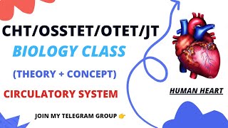 Circulatory System  CHT Preparation  OSSTET Biology Class  Double Circulation  Human Heart [upl. by Olympias864]