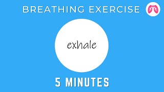 Breathing Exercises To Stop A Panic Attack Now  TAKE A DEEP BREATH [upl. by Conroy]