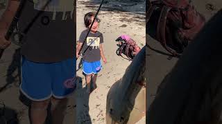 Goleta Surf Fishing Aug 1024 Using ProCure Anchovy Super Gel Monster Sharks Love It 🦈 [upl. by Lower]