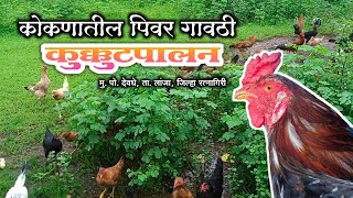 कोकणातील पिवर गावठी कुक्कुटपालन  Poultry Farming in Piwar village in Konkan poultry [upl. by Gnohp231]