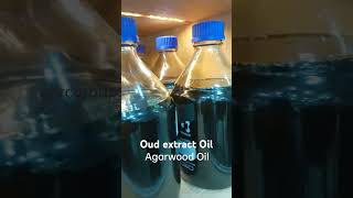 Pure Agarwood Oud Extract oil indonesian indian Cambodian Trat Malaysian Oud agarwood aprc [upl. by Nodanrb]