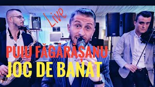 Puiu Fagarasanu❎Joc de Banat💯Live 2024 [upl. by Ennaihs]