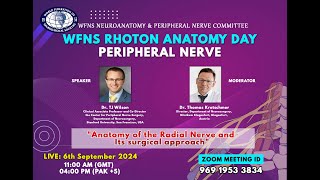 Anatomy of the Radial Nerve and Its surgical approach [upl. by Eimmij]