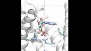 First Spontaneous Ligand Binding Simulated [upl. by Timi]