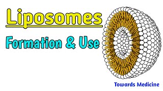 Liposomes  How liposomes are formed Use of Liposomes  Types of liposomes [upl. by Venezia]