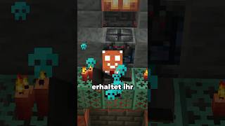 Neue Schallplatten in Minecraft… minecraft minecraftshorts maggus [upl. by Cammi]