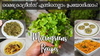 മൈക്രോഗ്രീൻസ് കൊണ്ടുള്ള 4 വിഭവങ്ങൾ  Microgreens Recipe in Malayalam  Microgreens Thoran Recipes [upl. by Currey623]