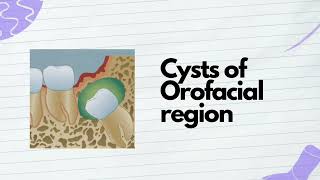 Cysts of Orofacial region  BDS 3rd year  Oral Pathology  Quick Revision [upl. by Yauqram]