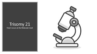 Trisomy 21 How it Occurs at the Molecular Level [upl. by Chadd]