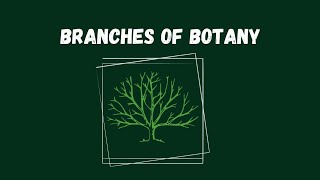 Botany MOST IMPORTANT Chapters For CEE 2023  7 Chapters 40 Marks 🔥😱 [upl. by Terle]