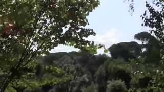 Walking in the Italian woods  Villa Borghese gardens Rome Italy [upl. by Herzog]