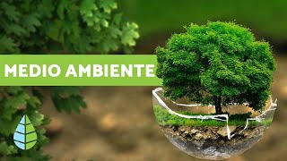 ¿QUÉ ES EL MEDIO AMBIENTE  Definición y resumen [upl. by Ellekim]