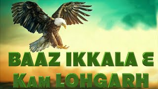 Eh BAAZ Ikkala Hai ਇਹ ਬਾਜ਼ ਇਕੱਲਾ ਹੈ ਇਸਦੇ ਮਗਰ ਨੇ ਬਹੁਤ ਸ਼ਿਕਾਰੀ   KAM LOHGARH amp Ladhubhanie [upl. by Enidanreb436]