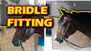 Bridle Fitting Tips for Beginners [upl. by Abagael]