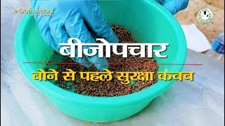 Vegetable Seed Treatment  सब्जियों में बीजोपचार  बोने से पहले सुरक्षा कवच [upl. by Enilehcim788]