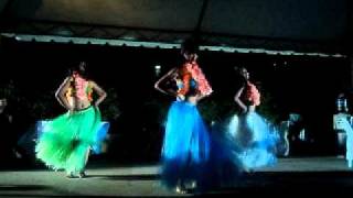 hawaiian fiveo by Project dance Guild [upl. by Bolan]