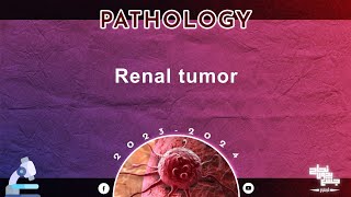 L5 Renal tumors Pathology [upl. by Aniles895]