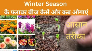 Winter Season के फ्लावर बीज कैसे और कब लगाएं [upl. by Rorke]