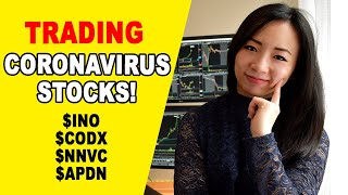 Day Trading Coronavirus Penny Stocks INO CODX CANF NNVC APDN Trading Recap [upl. by Ayisan]