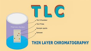 Thin Layer Chromatography  TLC [upl. by Nivlac]