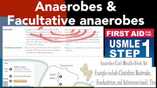 Anaerobes amp Facultative anaerobes in HindiUrdu by first aid for USMLE step 1 [upl. by Nottirb]