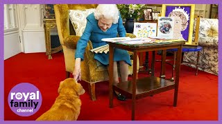 Queens Pooch Joins in the Jubilee Celebrations [upl. by Rehpotirhc562]