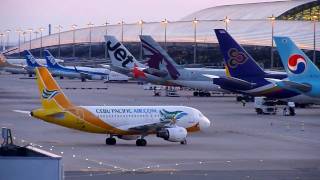 Cebu Pacific AirAirbus A319 arrivalKANSAI International Airport [upl. by Gio]