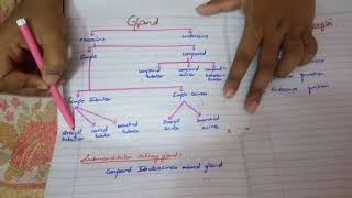 Shortest syllabus to PASS HISTOLOGY paper written pages by me MUST WATCH [upl. by Gahl]