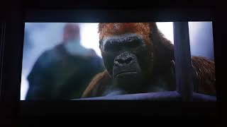 JVC x7900 Test 4k HDR  Planet Of The Apes Survival [upl. by Ydnolem]