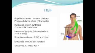 EXSC 281 part 3 Hormone response to exercise [upl. by Eemiaj]