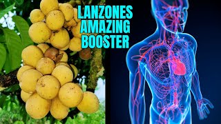 Langsat Lanzones amazing benefits [upl. by Maury]