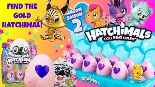 HATCHIMALS Colleggtibles Season 2 Find The Rare Gold Hatchimal [upl. by Liane]