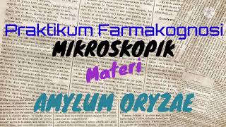 AMYLUM ORYZAE MIKROSKOPIS PRAKTIKUM FARMAKOGNOSI [upl. by Mayram]