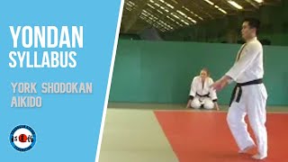 Shodokan Aikido Yondan syllabus  Section 3 Waza vs strikes  pt 2 explanation [upl. by Hammerskjold]