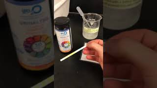 Lactase Enzyme Lactaid Dairy Relief Lab Part 1 [upl. by Yentruocal]