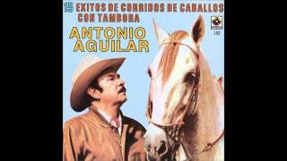 Antonio Aguilar  El Potro Lobo Gateado [upl. by Dirraj280]