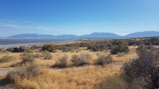 Antelope Island State Park  Great Salt Lake Utah 4 KUHD [upl. by Akila867]