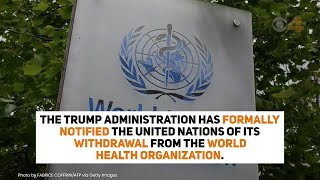 US notifies UN of withdrawal from World Health Organization [upl. by Fosque]