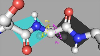 how to calculate dihedral angles of a protein [upl. by Colinson]