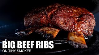 BIG BEEF RIBS on TINY SMOKER [upl. by Alon478]