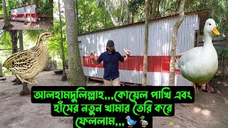 আলহামদুলিল্লাহকোয়েল পাখি এবং হাঁসের নতুন খামার তৈরি করে ফেললাম🐦🦆 [upl. by Swartz]