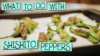 What to do with Shishito Peppers [upl. by Dogs]