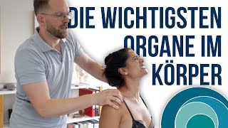 Chiropraktik  Die wichtigsten Organe im Körper  mit Melanie  deutsch  Teil 2  167 [upl. by Latreshia]