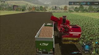 Farming Simulator 22 How to sell potatoes at Erlengrat [upl. by Petronella768]