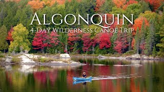 Beautiful 4Day Solo Wilderness Camping Trip in Algonquin Park [upl. by Kezer]