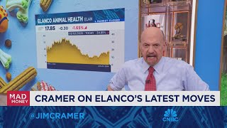 Jim Cramer digs into the pet business and which stocks are worth it [upl. by Maya]