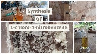 Synthesis of 1chloro4nitrobenzene via nitration of chlorobenzene [upl. by Incrocci]