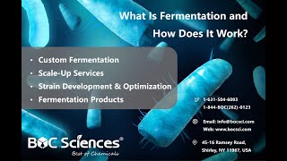 What Is Fermentation  Overview of Fermentation  What is Fermenting [upl. by Eimyaj]